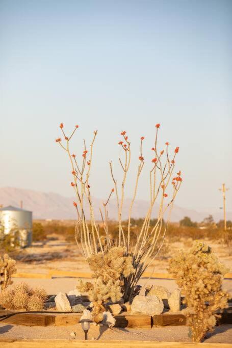 Sun Runner - Serene Desert Home W/Pool & Hot Tub Twentynine Palms Dış mekan fotoğraf